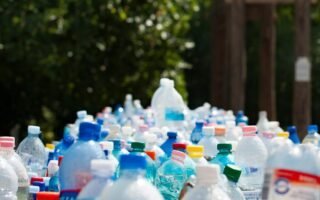 découvrez l'impact du gaspillage alimentaire sur notre planète et apprenez des astuces pratiques pour réduire vos déchets en cuisine. adoptez des solutions durables pour une alimentation responsable et savourez chaque bouchée tout en préservant notre environnement.