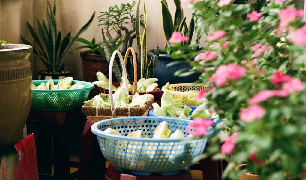 découvrez l'agriculture urbaine : un concept innovant qui transforme les villes en jardins durables. apprenez comment cultiver des fruits, légumes et herbes en milieu urbain, tout en favorisant une alimentation locale et en préservant l'environnement.