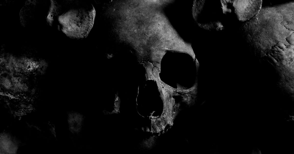 découvrez les mystères des hantises et des phénomènes paranormaux. plongez dans l'univers des esprits et des histoires qui font frémir, en explorant des récits captivants et des enquêtes fascinantes sur les lieux hantés.