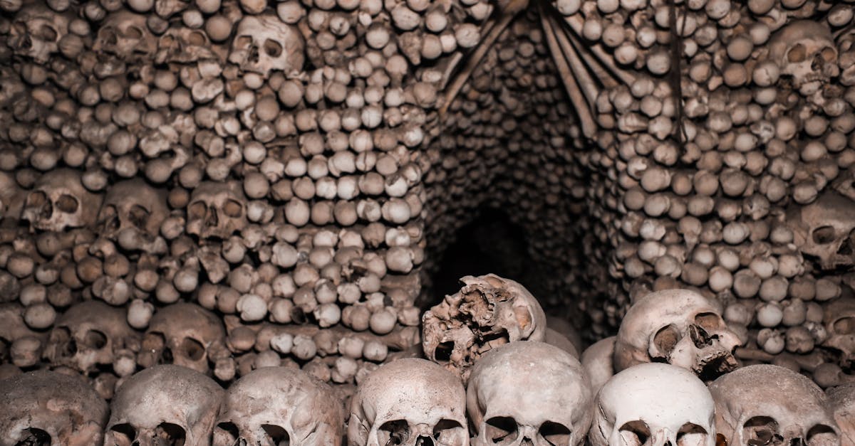 découvrez les histoires fascinantes et effrayantes des hantises à travers le monde. plongez dans l'univers mystérieux des esprits et des phénomènes paranormaux qui hantent les lieux chargés d'histoire. explorez les récits d'apparitions et les enquêtes sur les lieux les plus hantés.