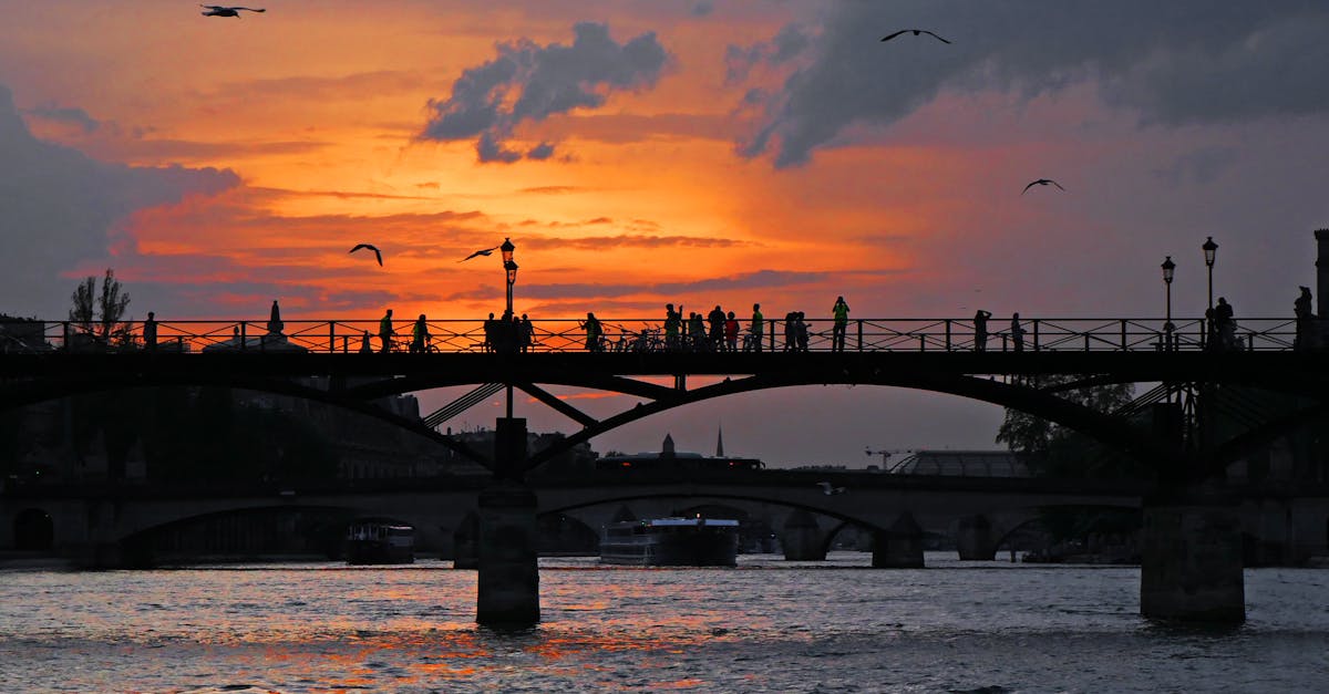 découvrez la magie de la seine, ce fleuve emblématique qui traverse paris et la normandie. plongez dans son histoire, explorez ses rives pittoresques et profitez des activités nautiques tout en admirant les paysages spectaculaires qu'il offre.