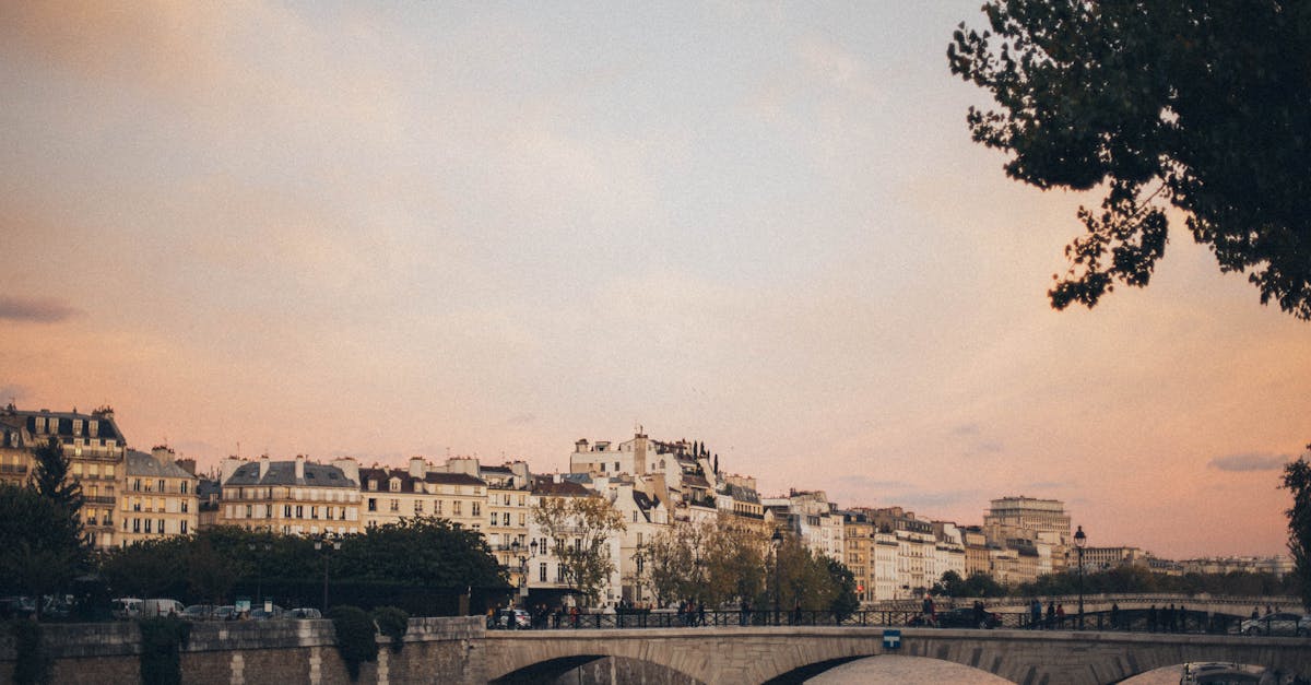 découvrez la beauté de la seine, ses paysages pittoresques et ses trésors culturels. explorez les rives de ce fleuve emblématique qui traverse paris et ses environs, et laissez-vous séduire par ses croisières, monuments et artistes inspirés par ses eaux scintillantes.