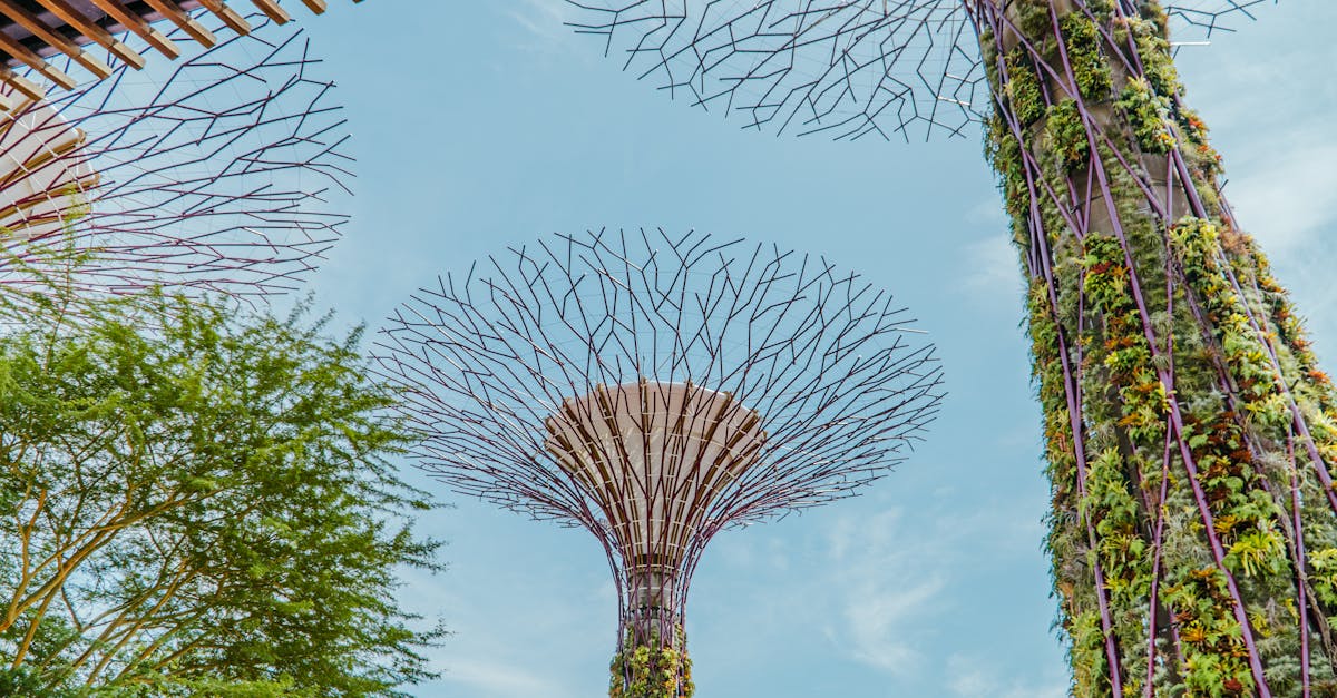 découvrez l'univers enchanteur de notre jardin tropical, un havre de paix rempli de plantes exotiques, de fleurs vibrantes et de paysages luxuriants. évadez-vous vers une oasis de beauté naturelle et laissez-vous inspirer par la magie de la nature.