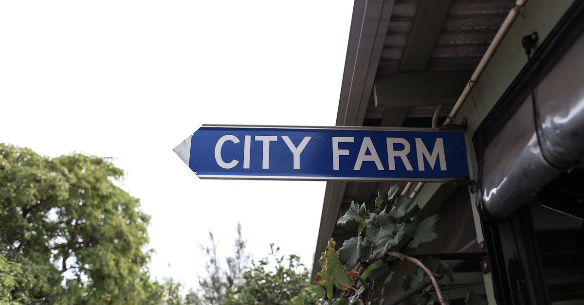 découvrez l'urban farming, une pratique innovante qui transforme les espaces urbains en fermes durables. apprenez à cultiver des légumes et herbes en milieu urbain tout en contribuant à l'éco-responsabilité et en favorisant la biodiversité. adoptez un mode de vie plus sain et engagé avec l'agriculture urbaine.