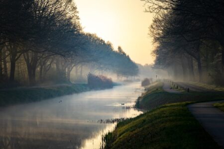découvrez l'univers fascinant des canaux, ces voies navigables qui relient des villes et des paysages. explorez leur histoire, leur importance écologique et les activités récréatives qu'ils offrent, tout en plongeant dans leur beauté naturelle.