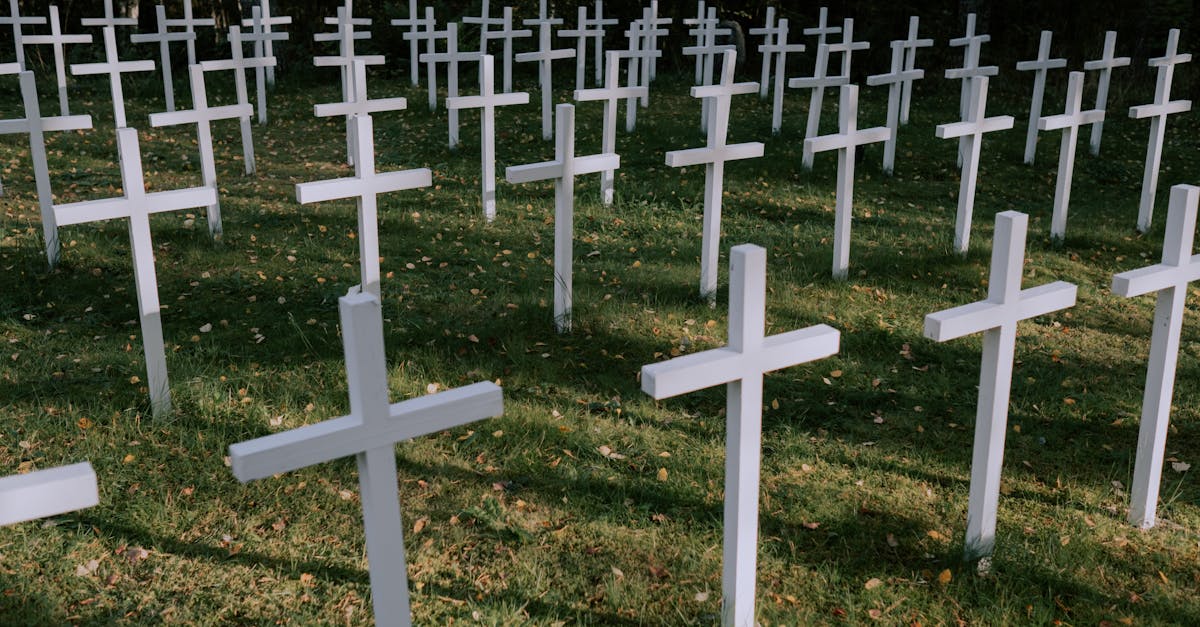découvrez les sites mémoriels qui préservent l'histoire et la mémoire des événements marquants. plongez dans un voyage culturel et émotionnel à travers des lieux emblématiques qui rendent hommage à notre patrimoine et à notre passé.
