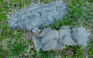 découvrez les sites mémoriels incontournables, témoins de l'histoire et de la culture, qui vous plongent dans le passé et préservent la mémoire collective. explorez ces lieux uniques et enrichissez vos connaissances sur notre patrimoine.