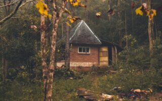 découvrez notre refuge, un havre de paix où la nature et la sérénité se rencontrent. idéal pour les amateurs de plein air, notre espace offre un environnement chaleureux et accueillant pour se ressourcer et échapper à l'agitation quotidienne.
