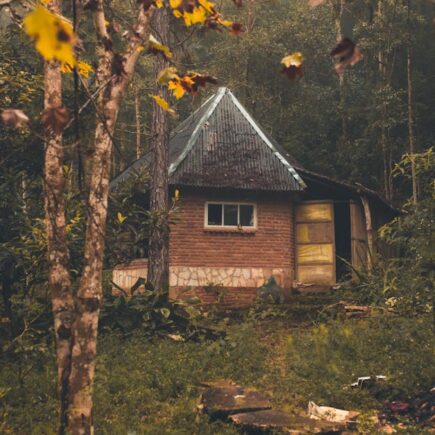 découvrez notre refuge, un havre de paix où la nature et la sérénité se rencontrent. idéal pour les amateurs de plein air, notre espace offre un environnement chaleureux et accueillant pour se ressourcer et échapper à l'agitation quotidienne.