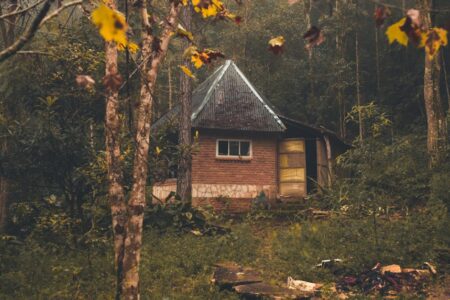 découvrez notre refuge, un havre de paix où la nature et la sérénité se rencontrent. idéal pour les amateurs de plein air, notre espace offre un environnement chaleureux et accueillant pour se ressourcer et échapper à l'agitation quotidienne.