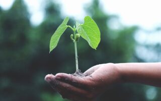 découvrez l'importance de la durabilité dans notre monde moderne. apprenez comment adopter des pratiques durables dans votre quotidien pour préserver notre planète pour les générations futures.