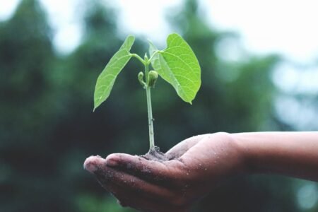 découvrez l'importance de la durabilité dans notre monde moderne. apprenez comment adopter des pratiques durables dans votre quotidien pour préserver notre planète pour les générations futures.