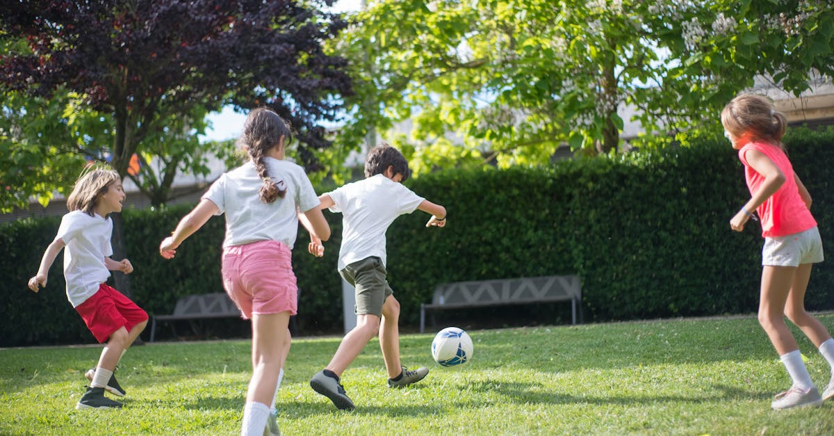 découvrez une variété d'activités passionnantes et enrichissantes pour tous les âges. que ce soit pour le loisir, le sport ou l'éducation, trouvez l'activité qui vous correspond et amusez-vous tout en apprenant!