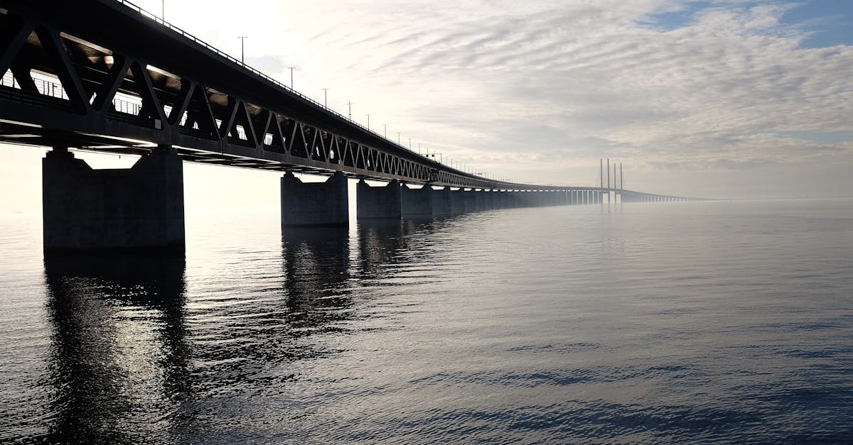 découvrez l'univers fascinant des ponts : de leur ingénierie impressionnante à leur beauté architecturale, explorez comment ces structures emblématiques relient les communautés et symbolisent l'innovation humaine.