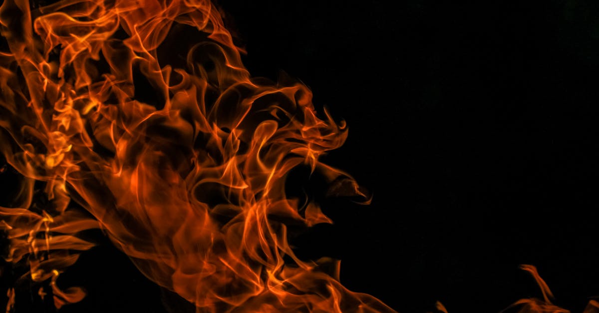 découvrez l'univers fascinant du feu : ses mystères, ses utilisations, et son impact sur l'environnement. explorez les dangers et la beauté des flammes à travers des articles enrichissants et des conseils de sécurité.