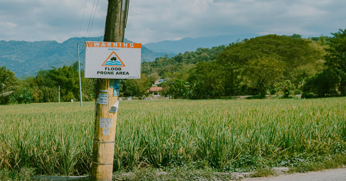 découvrez les dernières alertes et conseils concernant les inondations. restez informé sur les prévisions météorologiques et prenez les mesures nécessaires pour protéger votre sécurité et celle de vos biens.