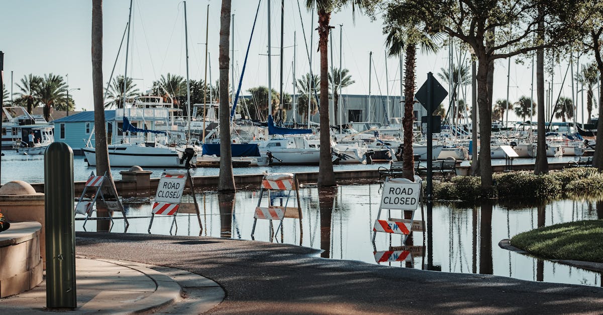 restez informé sur les alertes d'inondation avec les dernières mises à jour, conseils de sécurité et bonnes pratiques pour se préparer et protéger votre domicile. ne laissez pas les inondations vous prendre au dépourvu, consultez nos ressources essentielles.