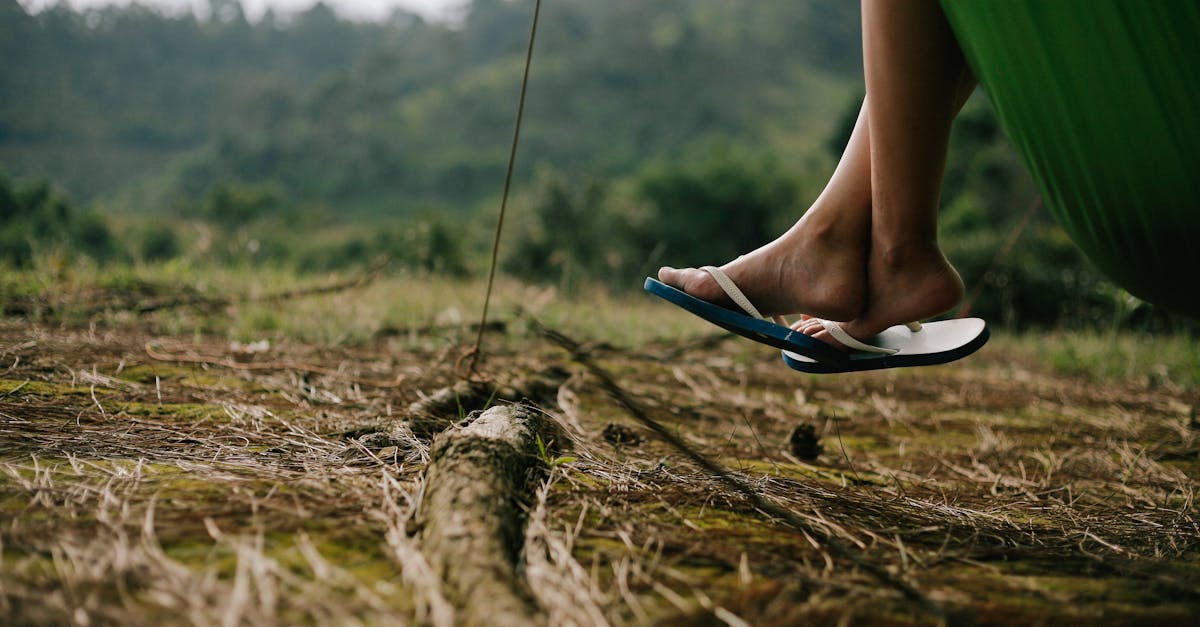 découvrez une sélection d'activités gratuites pour tous les âges ! que ce soit des événements culturels, des sorties en plein air ou des ateliers créatifs, profitez de moments fun sans dépenser un centime. explorez les meilleures options près de chez vous et plongez dans des expériences mémorables !