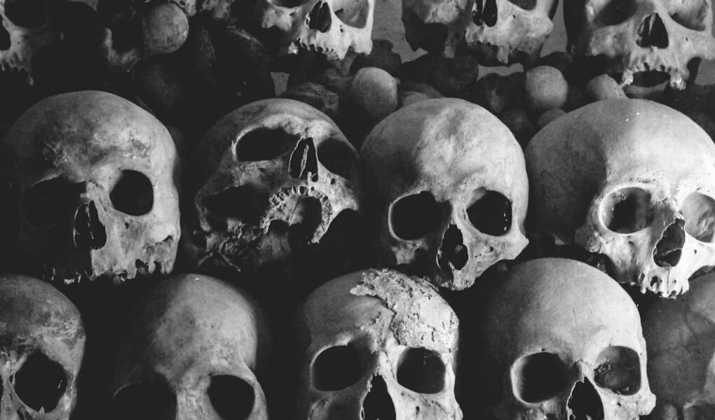 découvrez un univers macabre fascinant où l'obscurité rencontre la beauté. plongez dans des récits et des atmosphères glaçantes qui éveillent vos sens et explorent les mystères de la mort et de l'au-delà.