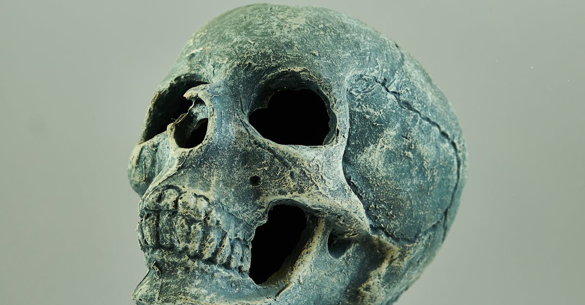 découvrez l'univers fascinant du macabre, où l'horreur rencontre l'esthétique. plongez dans des récits sombres et des œuvres d'art inspirées par la mort et le mystère. explorez les thèmes troublants et captivants qui hantent l'imaginaire collectif.