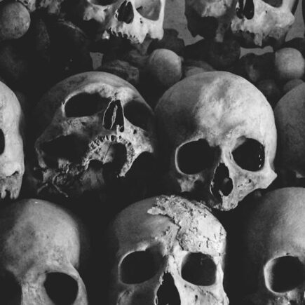 découvrez un univers macabre fascinant où l'obscurité rencontre la beauté. plongez dans des récits et des atmosphères glaçantes qui éveillent vos sens et explorent les mystères de la mort et de l'au-delà.