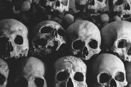 découvrez un univers macabre fascinant où l'obscurité rencontre la beauté. plongez dans des récits et des atmosphères glaçantes qui éveillent vos sens et explorent les mystères de la mort et de l'au-delà.