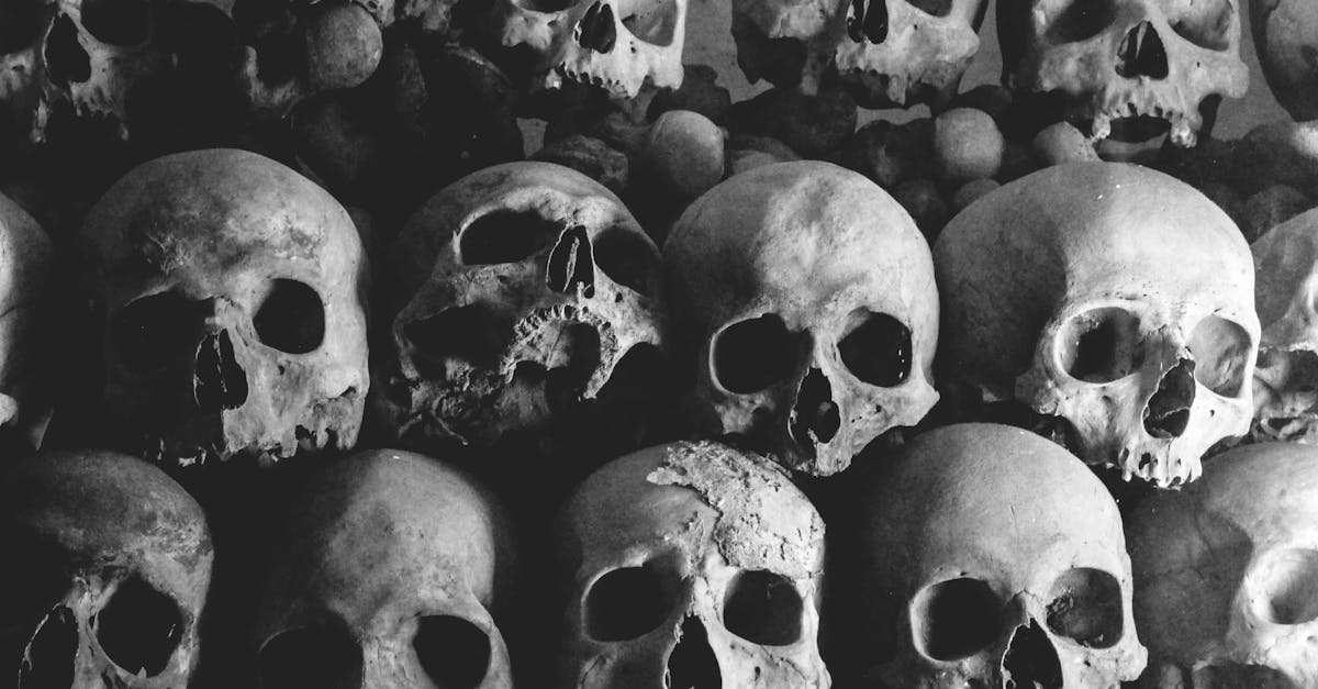découvrez un univers macabre fascinant où l'obscurité rencontre la beauté. plongez dans des récits et des atmosphères glaçantes qui éveillent vos sens et explorent les mystères de la mort et de l'au-delà.