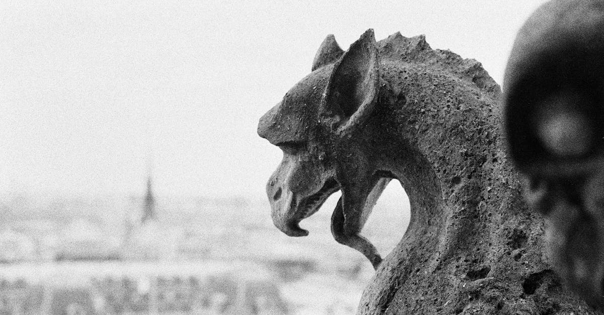 découvrez les plus beaux points de vue de paris, des panoramas époustouflants aux terrasses cachées, pour admirer la magie de la ville lumière sous tous ses angles. que vous soyez un touriste ou un résident, explorez les meilleurs spots pour capturer des souvenirs inoubliables.