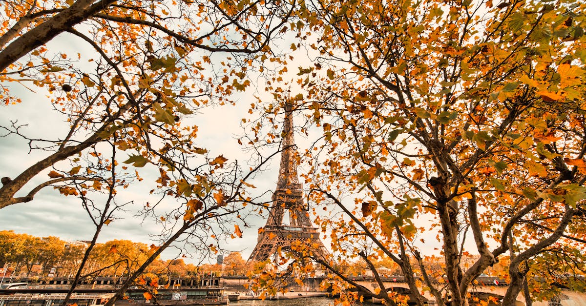 découvrez les plus beaux points de vue de paris, offrant des panoramas époustouflants sur la ville lumière. explorez des lieux emblématiques et cachés, et vivez une expérience inoubliable au sommet des monuments parisiens.