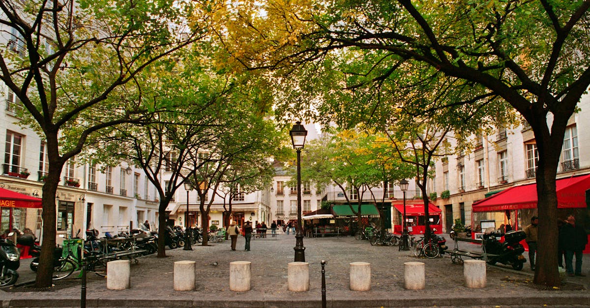 découvrez l'ambiance unique des cafés parisiens, où tradition et modernité se rencontrent. savourez un café tout en profitant de l'art de vivre à la française dans ces établissements emblématiques de la capitale.