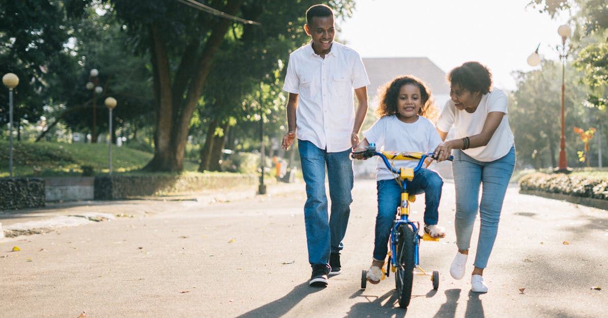 découvrez notre sélection des plus beaux parcs à visiter, idéaux pour des promenades, des pique-niques en famille ou des activités en plein air. profitez de la nature et des espaces verts pour vous ressourcer et vous détendre.