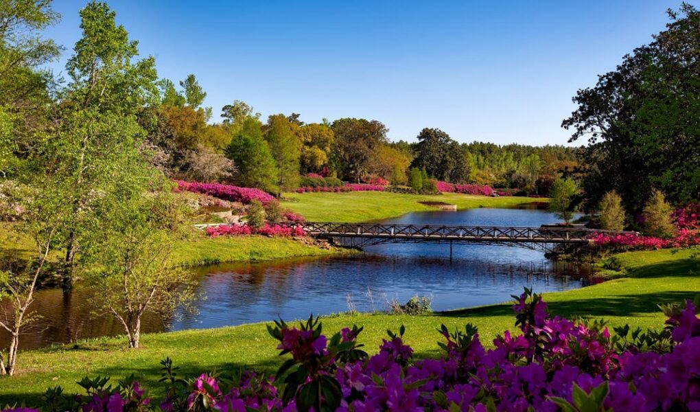 découvrez les plus beaux parcs à travers la france, des espaces verts enchanteurs où vous pourrez vous détendre, profiter de la nature et vous adonner à de nombreuses activités en plein air. parfait pour les familles, les amis ou les amoureux de la nature.