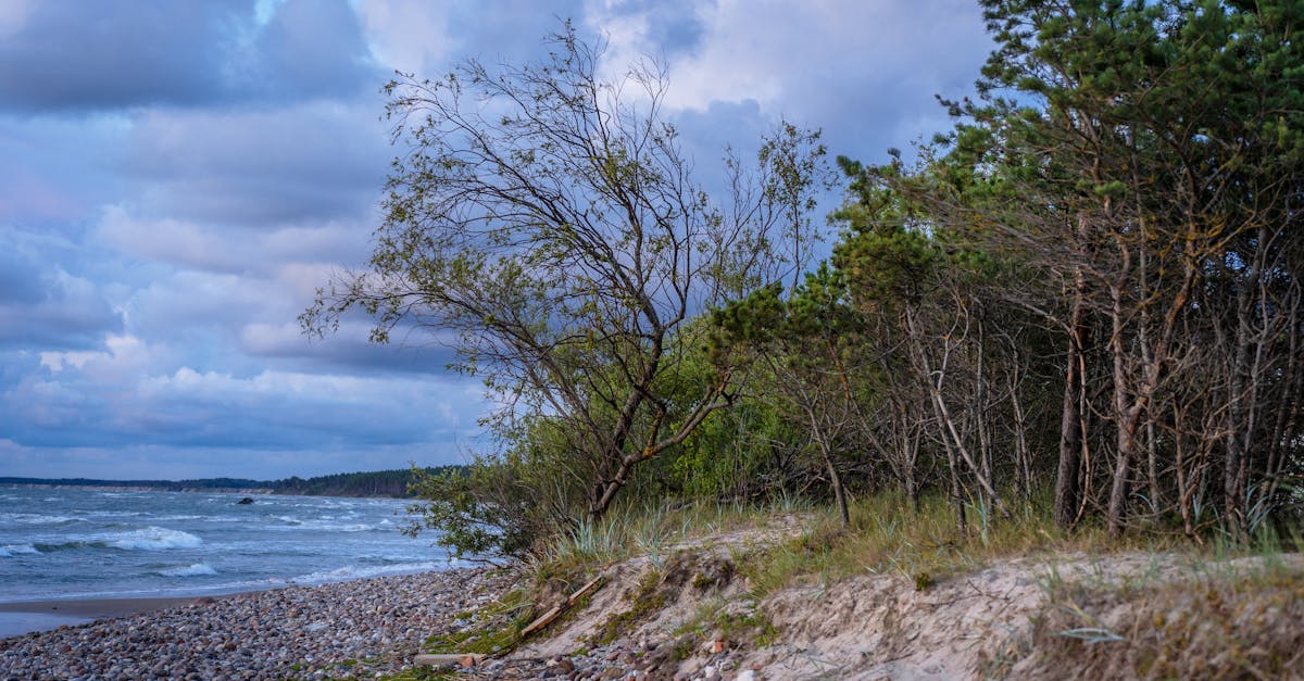 découvrez les plus beaux parcs à travers le monde, des oasis de verdure au cœur des villes où la nature et la détente se rencontrent. explorez des paysages époustouflants, profitez d'activités en plein air et laissez-vous inspirer par la biodiversité qui habite ces espaces naturels.