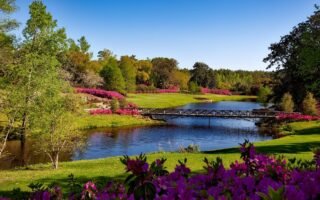 découvrez les plus beaux parcs à travers la france, des espaces verts enchanteurs où vous pourrez vous détendre, profiter de la nature et vous adonner à de nombreuses activités en plein air. parfait pour les familles, les amis ou les amoureux de la nature.