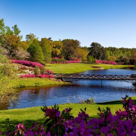 découvrez les plus beaux parcs à travers la france, des espaces verts enchanteurs où vous pourrez vous détendre, profiter de la nature et vous adonner à de nombreuses activités en plein air. parfait pour les familles, les amis ou les amoureux de la nature.