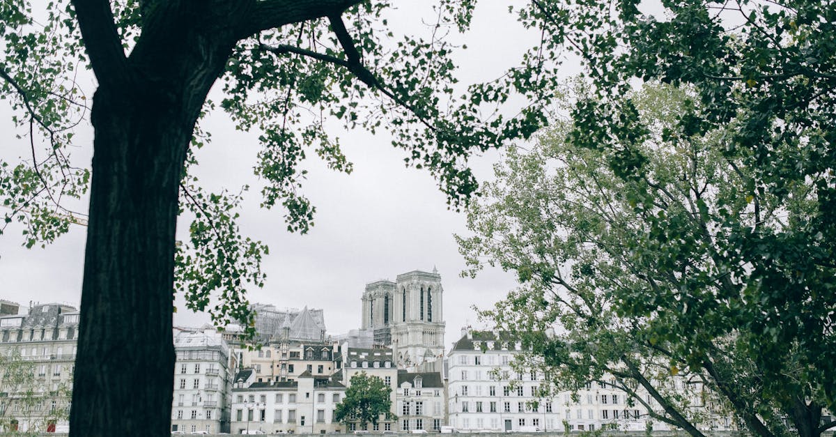 découvrez la seine, ce fleuve emblématique qui traverse paris et offre des vues panoramiques sur les monuments historiques, ainsi que des activités nautiques inoubliables. explorez ses berges enchantées et plongez dans l'histoire et la beauté de cette région unique.