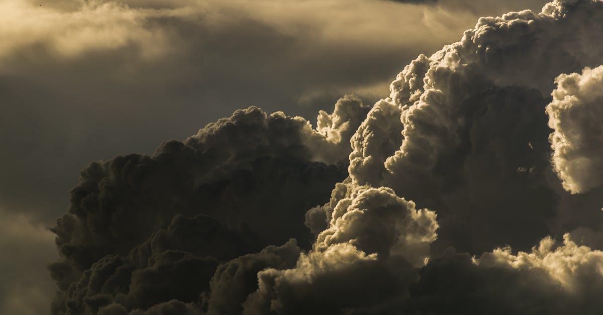 découvrez les prévisions météorologiques précises et à jour pour votre région. restez informé des conditions climatiques, des températures et des alertes météo pour planifier vos activités en toute sérénité.