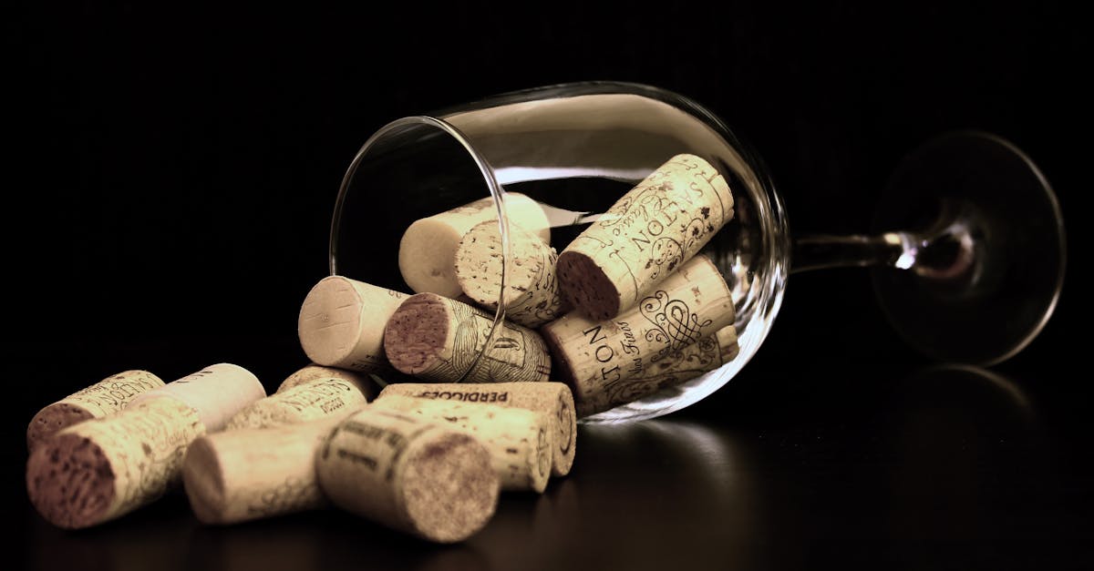 découvrez l'univers fascinant du vin : de la culture des vignes à la dégustation des cépages, explorez les différentes variétés, accords mets et vins, et apprenez à apprécier cette boisson millénaire.
