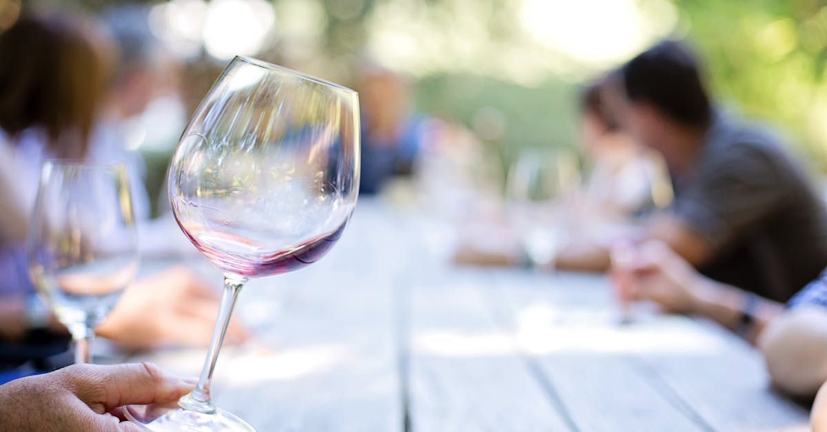 découvrez l'univers fascinant du vin, de sa production raffinée à sa dégustation envoûtante. explorez les cépages, les terroirs et les accords mets-vins pour enrichir votre palais et votre connaissance. plongez dans l'art de choisir le vin parfait pour chaque occasion.