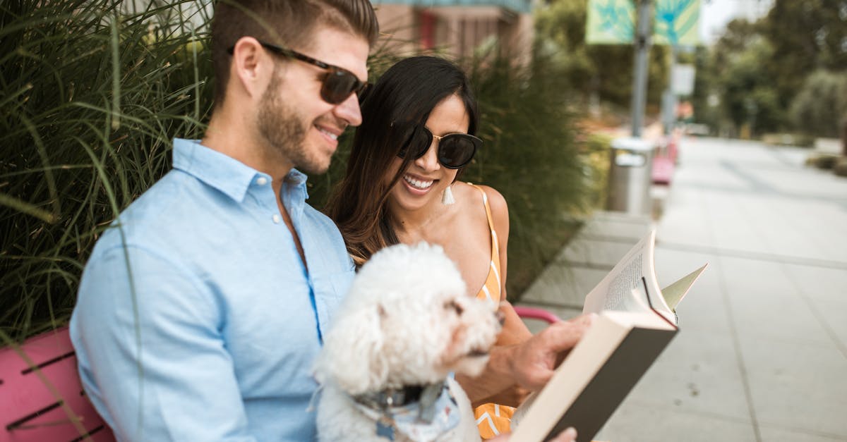 découvrez tout sur les bichons : origine, caractéristiques, conseils d’élevage et soins pour ces chiens affectueux et adaptés à la vie de famille.