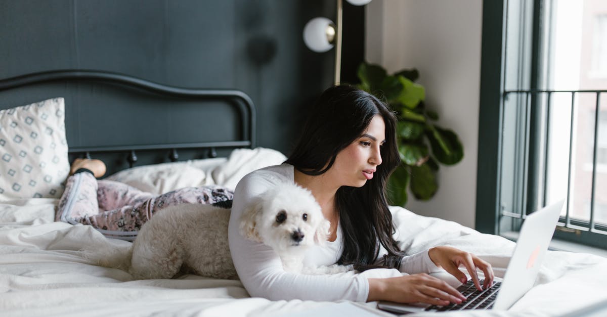 découvrez tout sur les bichons : caractère, entretien, santé et conseils pour adopter ce chien affectueux et adapté à la vie de famille.