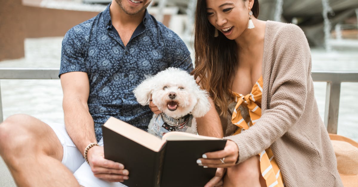 découvrez tout ce qu'il faut savoir sur les bichons : caractéristiques, conseils d'élevage, alimentation, santé et astuces pour prendre soin de votre petit compagnon à quatre pattes.