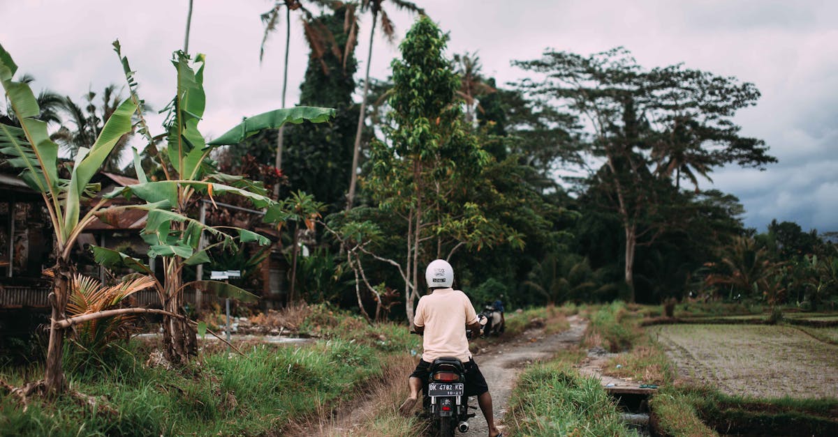 découvrez les plus beaux itinéraires à vélo, des pistes cyclables sécurisées aux parcours pittoresques, pour tous les niveaux. partez à l’aventure et explorez de nouvelles destinations à vélo !