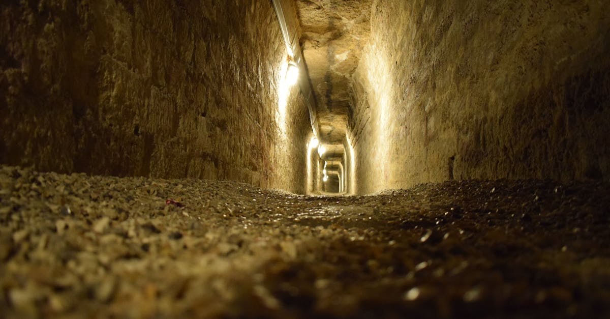 découvrez l’histoire fascinante des catacombes, des galeries souterraines mystérieuses utilisées autrefois comme ossuaire ou lieu de culte. plongez dans un univers unique empreint de secrets et de légendes.