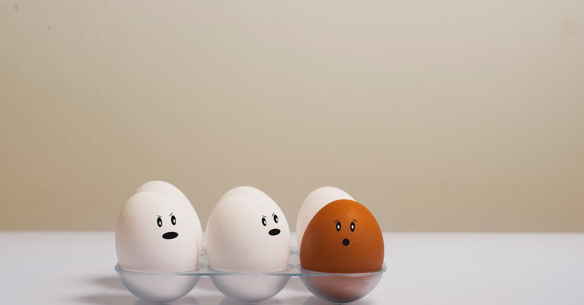 découvrez la diversité : définition, enjeux, avantages en entreprise et dans la société, initiatives inclusives, exemples concrets et bonnes pratiques.
