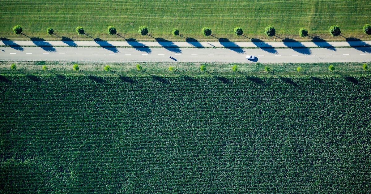 découvrez les avantages de la transportation éco-responsable et explorez des options durables qui réduisent votre empreinte carbone tout en améliorant votre qualité de vie.