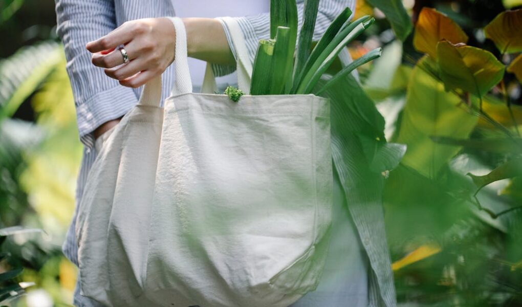 découvrez les dernières tendances écologiques qui transforment notre mode de vie. explorez des solutions durables, des innovations vertes et des inspirations pour un avenir respectueux de l'environnement.