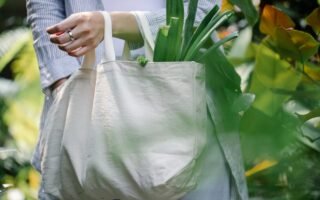 découvrez les dernières tendances écologiques qui transforment notre mode de vie. explorez des solutions durables, des innovations vertes et des inspirations pour un avenir respectueux de l'environnement.