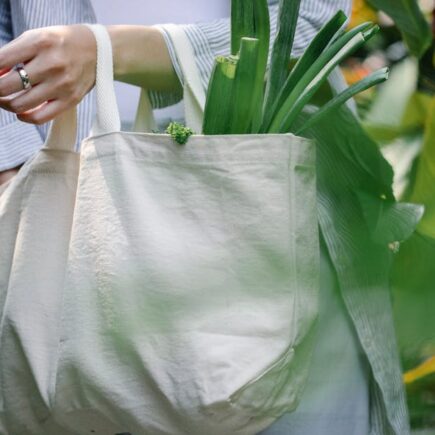 découvrez les dernières tendances écologiques qui transforment notre mode de vie. explorez des solutions durables, des innovations vertes et des inspirations pour un avenir respectueux de l'environnement.