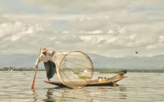 découvrez le concept innovant des floating gardens : des jardins flottants écologiques qui allient beauté, durabilité et respect de l’environnement. idéal pour l’urbanisme vert et la biodiversité en ville.